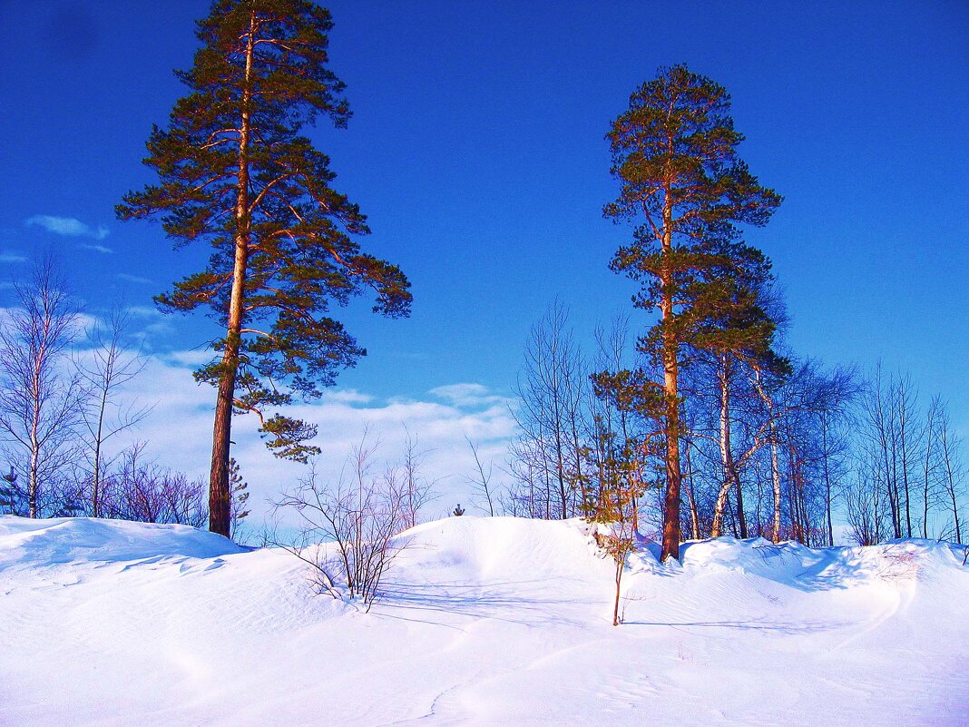 На Севере дальнем! - Владимир 