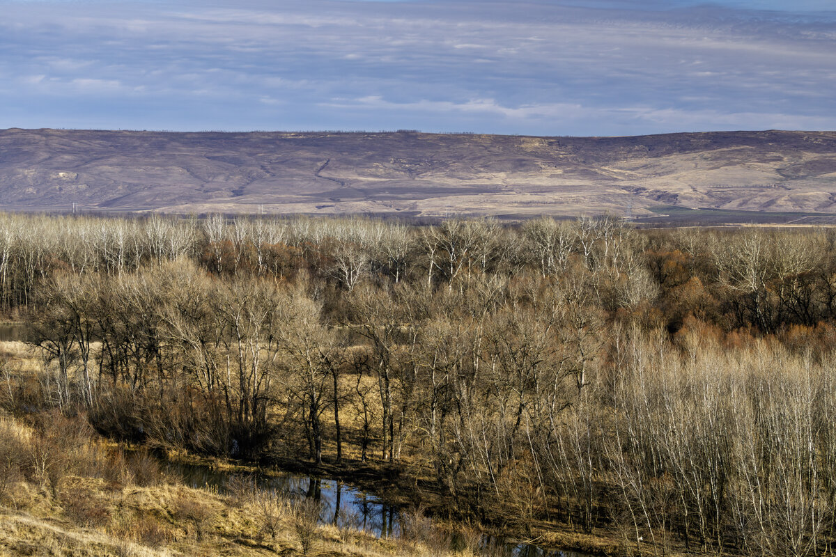 Окрестности! - Игорь Сикорский Окрестности! - Игорь Сикорский