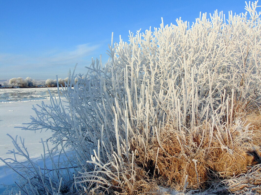 У самой воды. - nadyasilyuk Вознюк