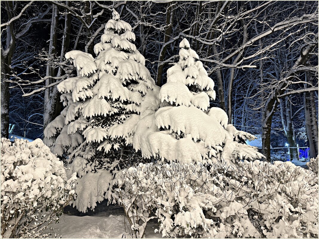 После двадцати лет ожидания, Калининград встретил Новый год со снегом - Валерия Комова После двадцати лет ожидания, Калининград встретил Новый год со снегом - Валерия Комова