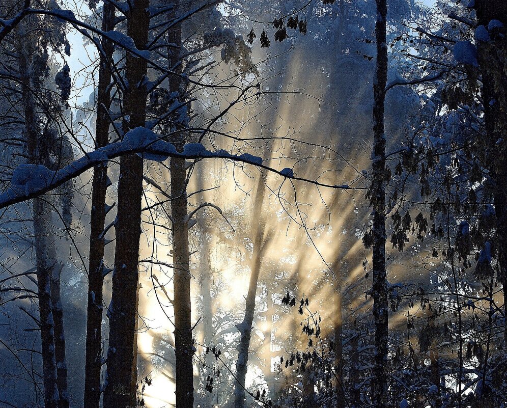 Солнечный фейерверк - Галина Нестратова Солнечный фейерверк - Галина Нестратова