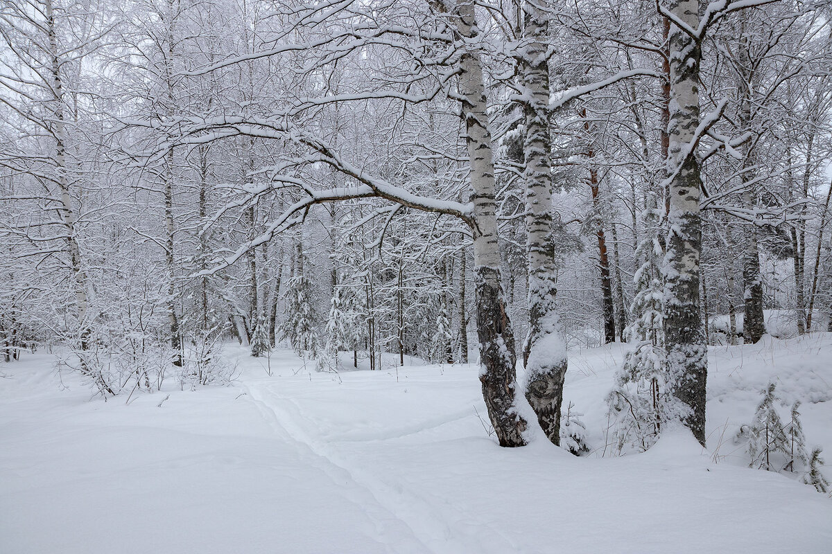 *** - Андрей Дурапов