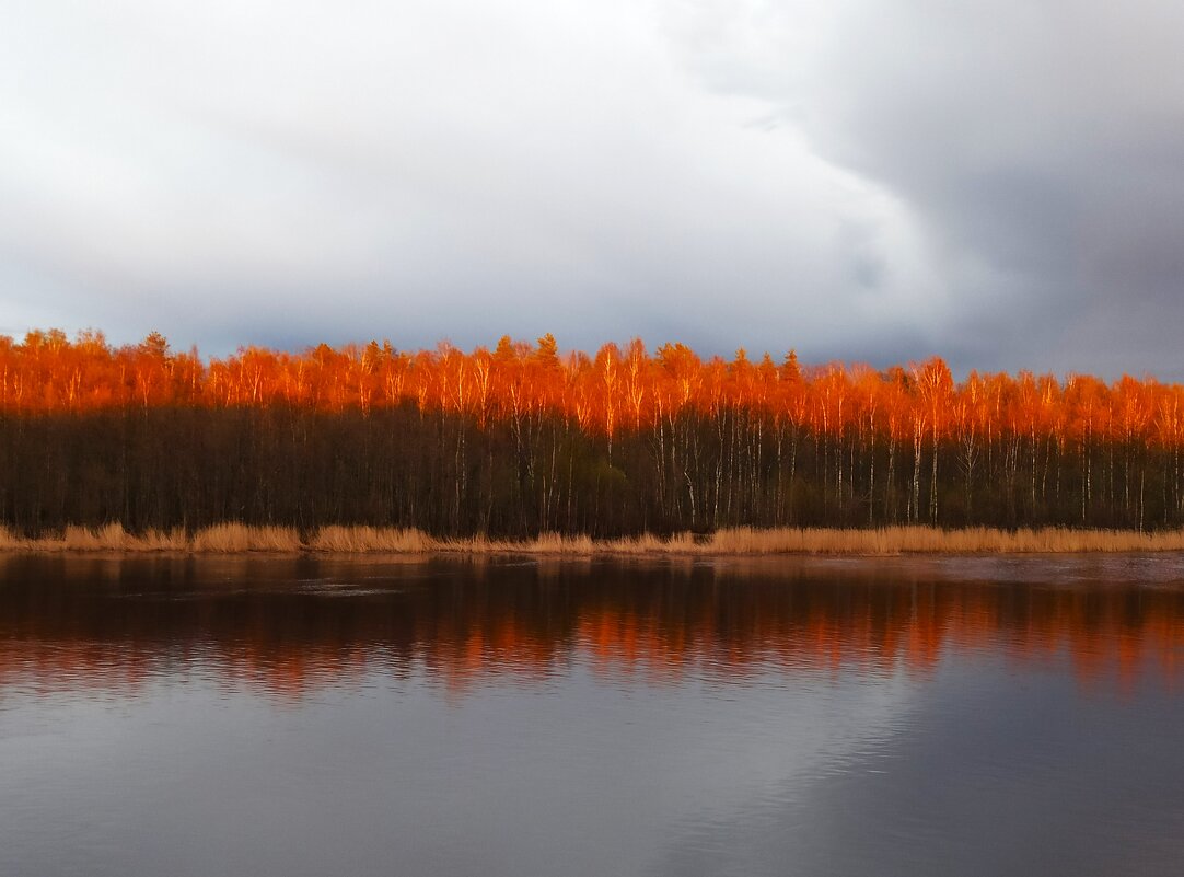 Вечер на Нерли - svk *