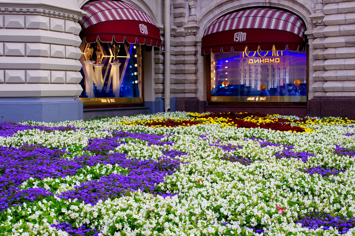 На Красной площади - Игорь Белоногов