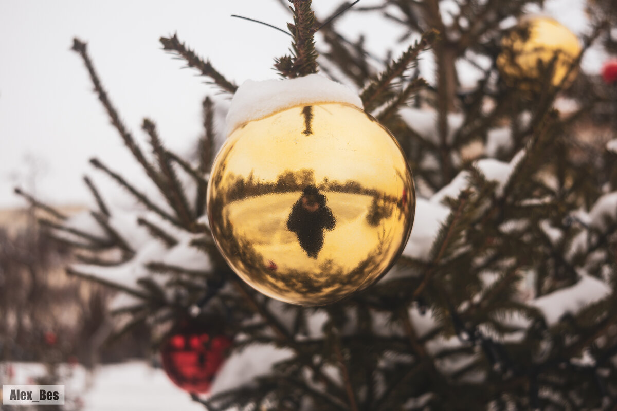 №208 - Alex Bes №208 - Alex Bes