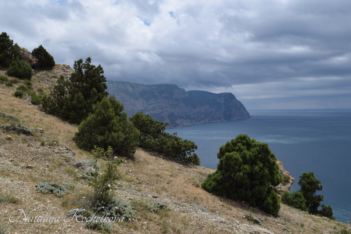 Природа Крыма - Amazing Cosmea