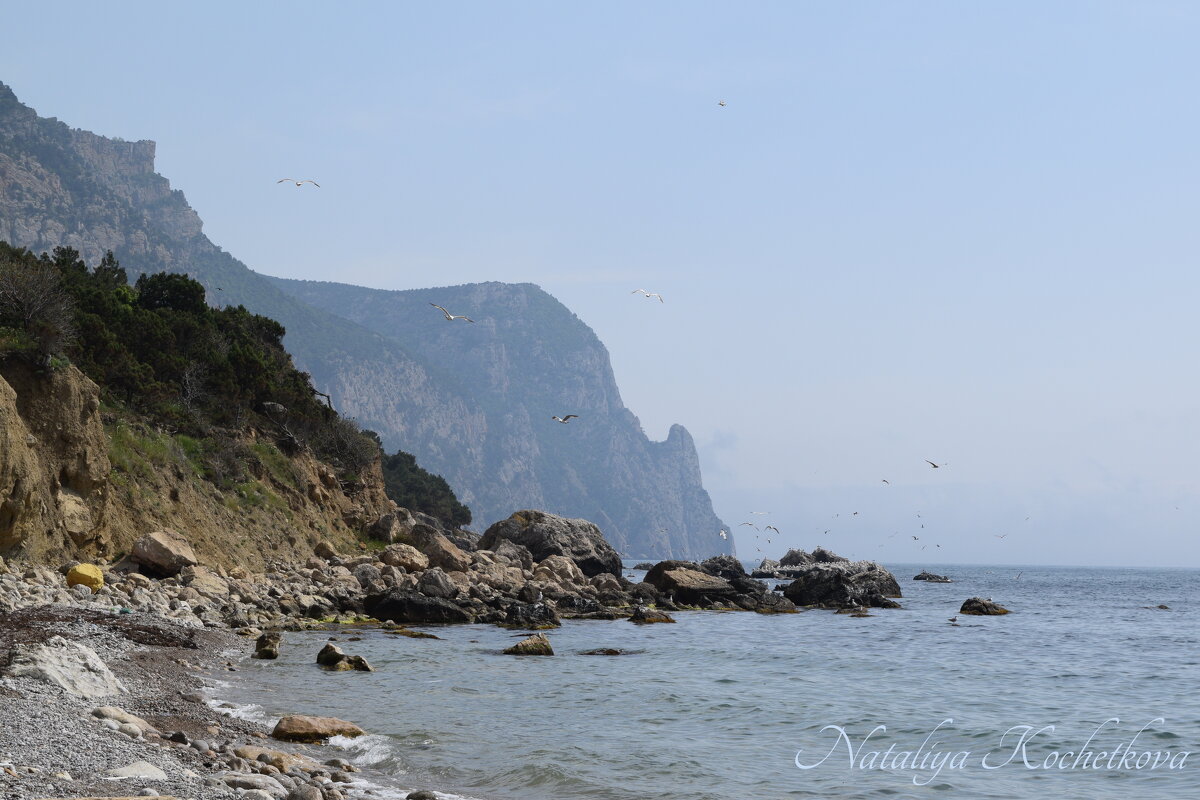 Природа Крыма - Amazing Cosmea