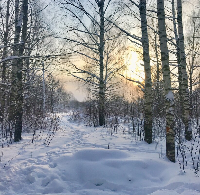 Утро нового года - Татьяна 