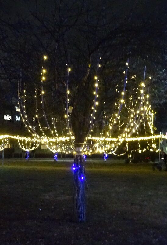 Новогоднее - PRP 