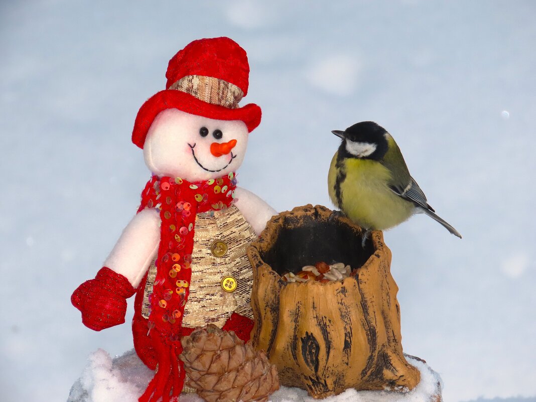 Ты кто? - Ольга Митрофанова Ты кто? - Ольга Митрофанова