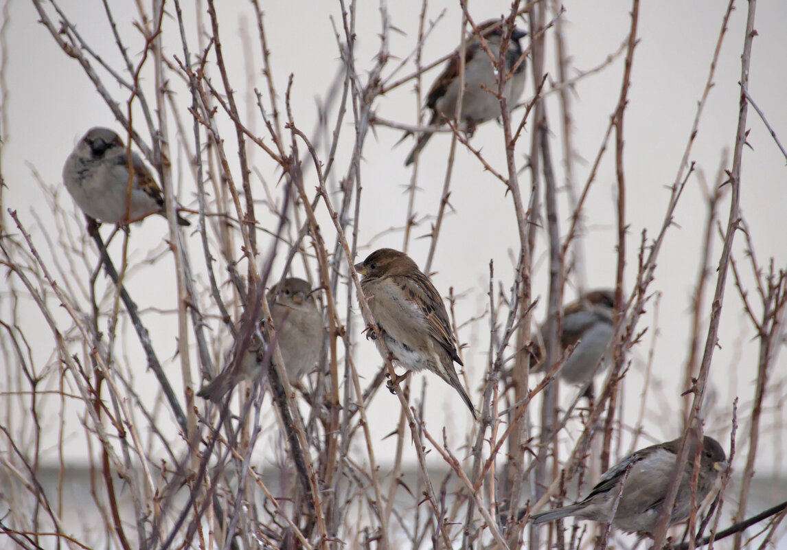 Голодно и холодно - Валерий Судачок