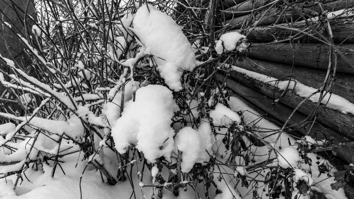 Снег - Владимир Иванович