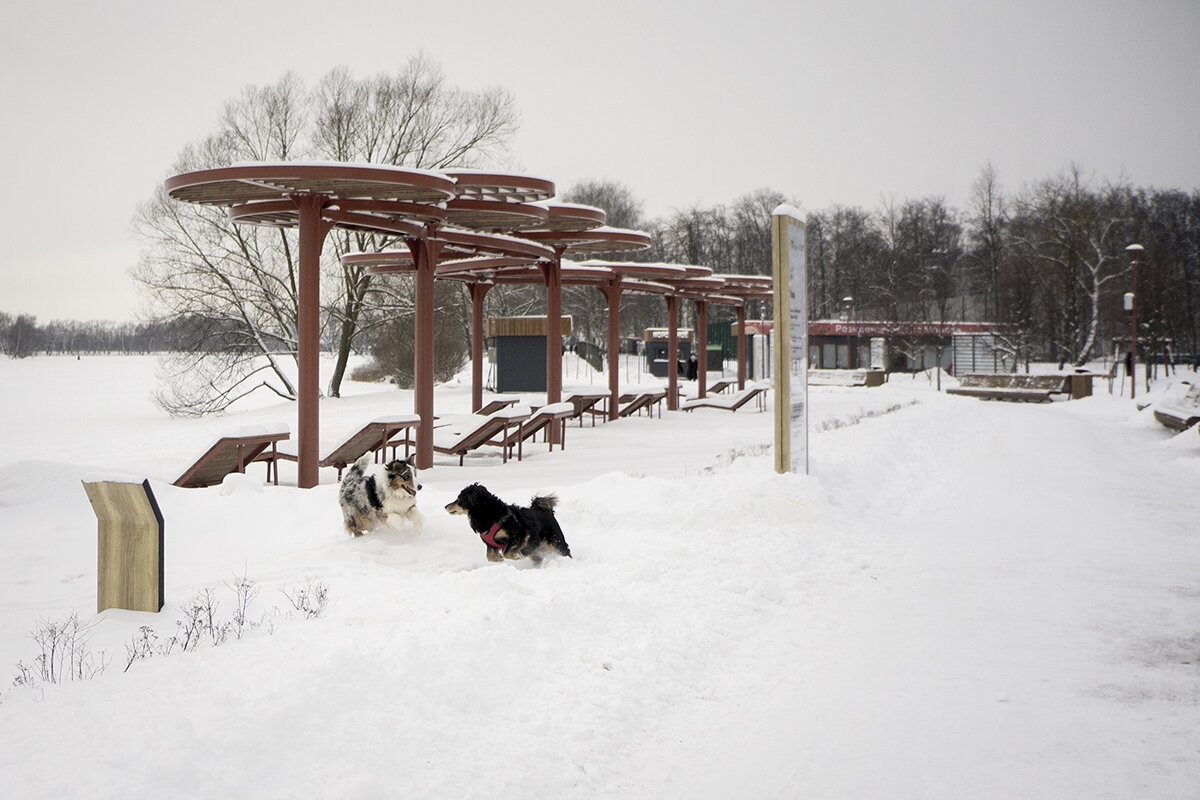 "Простые картинки" - Владимир Носов