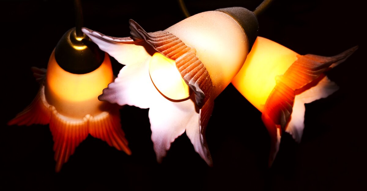 * - Василий Палий