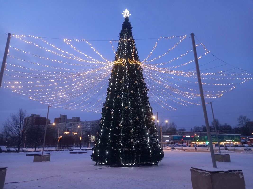 Ёлка - Сапсан 