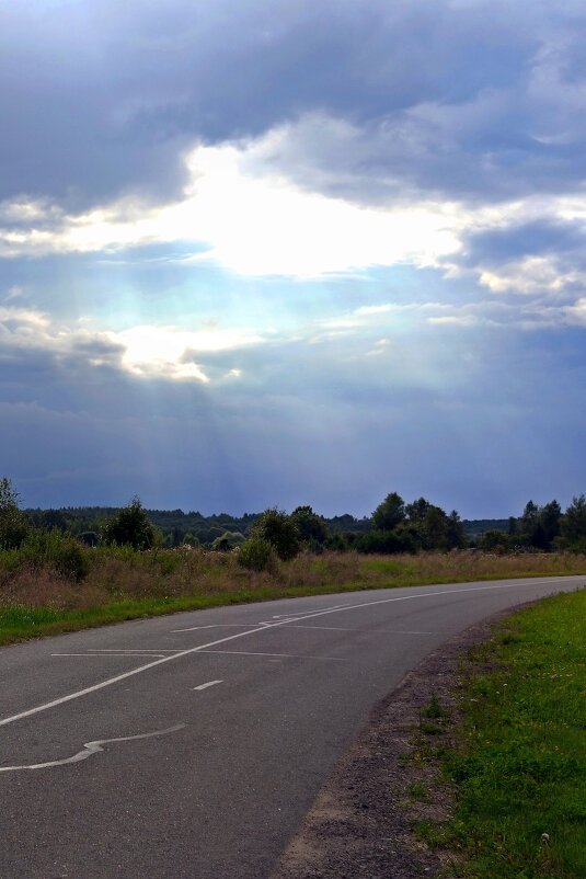 на шоссе у д.Белошкино - Артем 