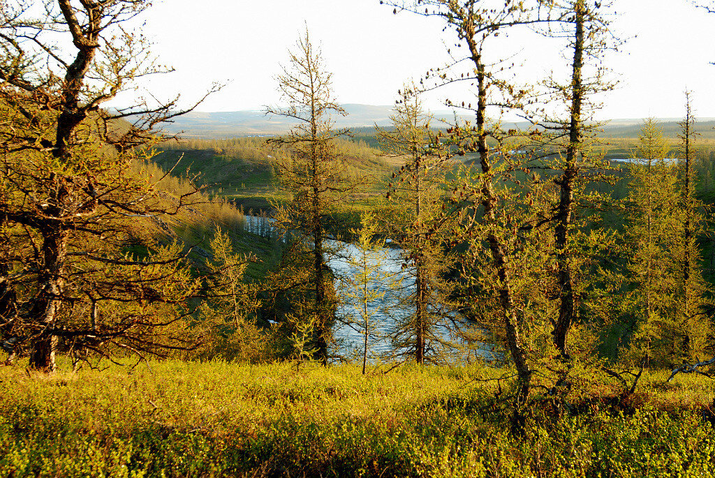 Восточный склон полярного Урала. Ямал. - Tata Wolf Восточный склон полярного Урала. Ямал. - Tata Wolf