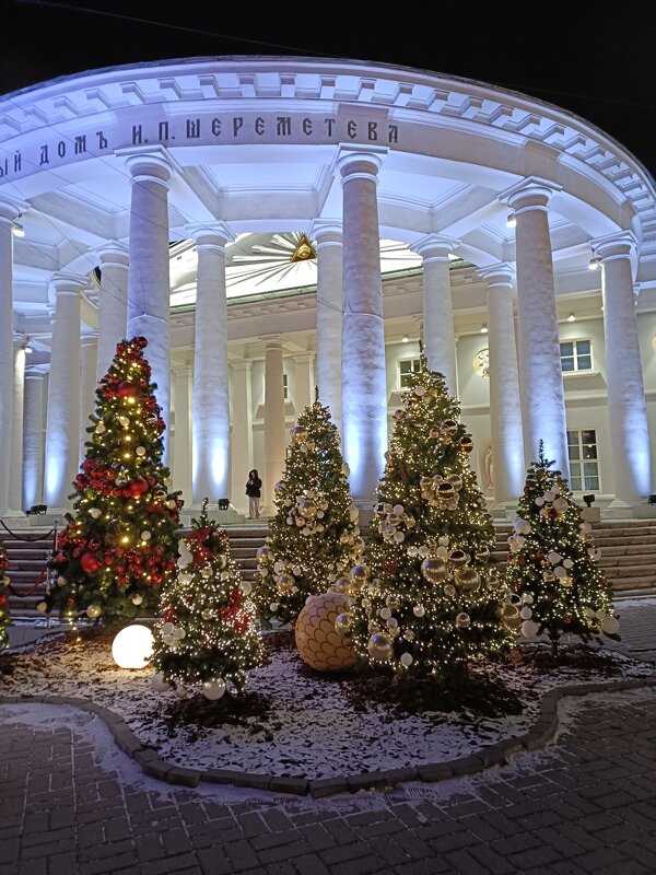 новогодние красавицы - Галина R... новогодние красавицы - Галина R...