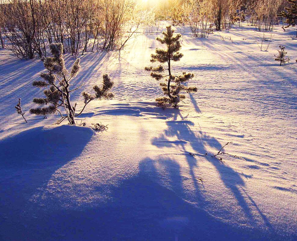 Декабрь...За городом минус 40! - Владимир 