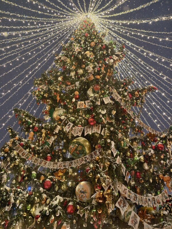 Елка на Манежке - <<< Наташа >>>