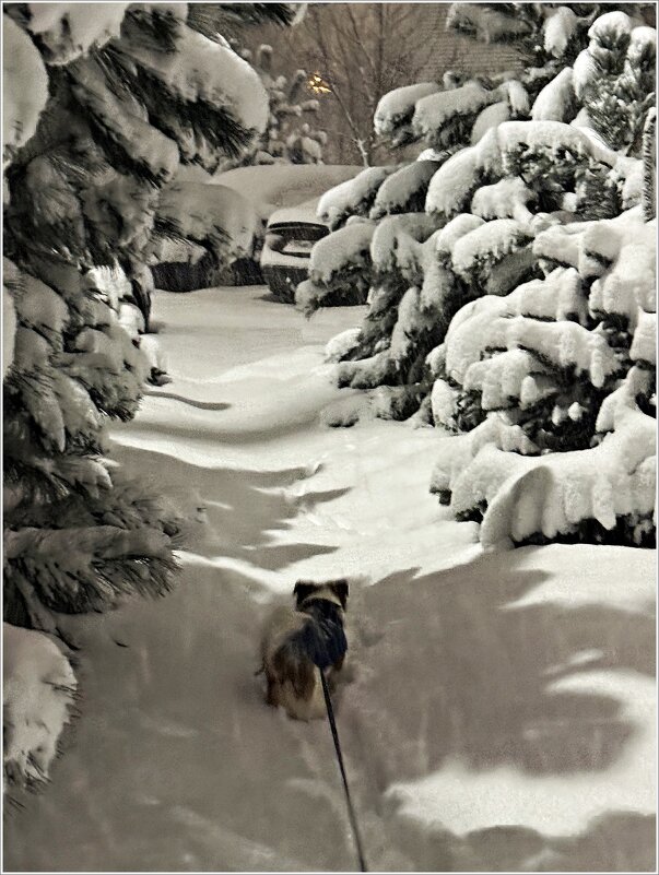 Мой малыш Яшенька  исследует снег. - Валерия Комова