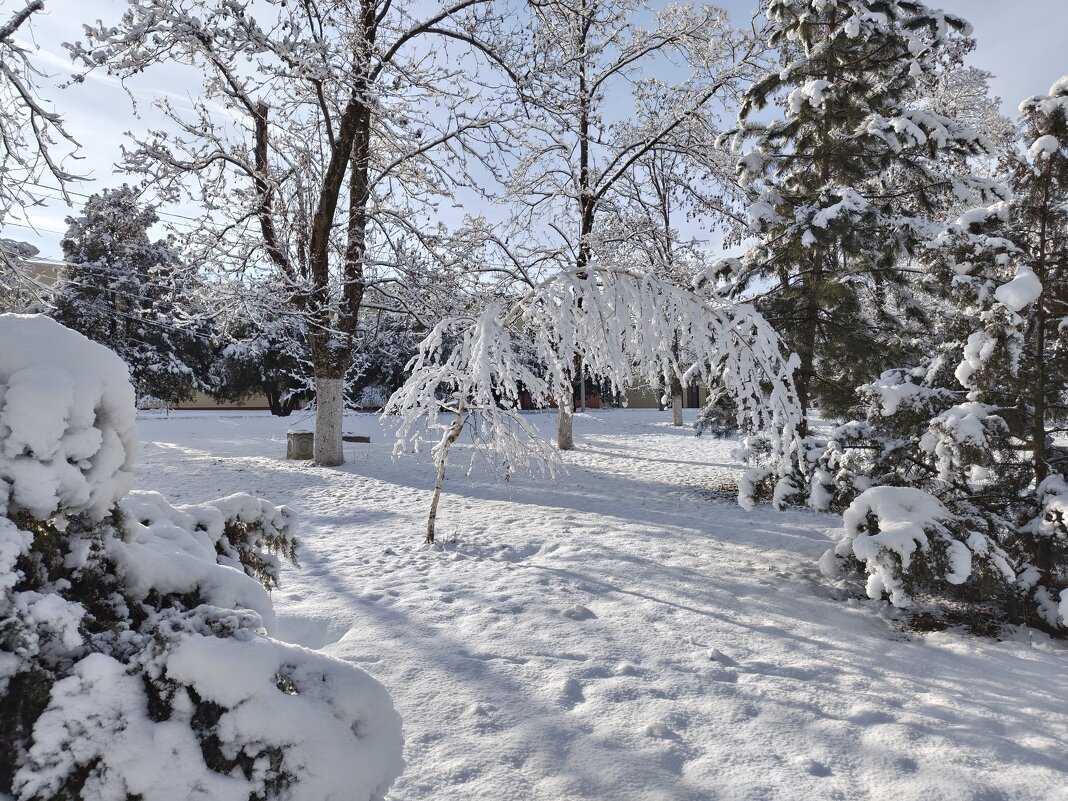 Берёзка - Валерий Ткаченко