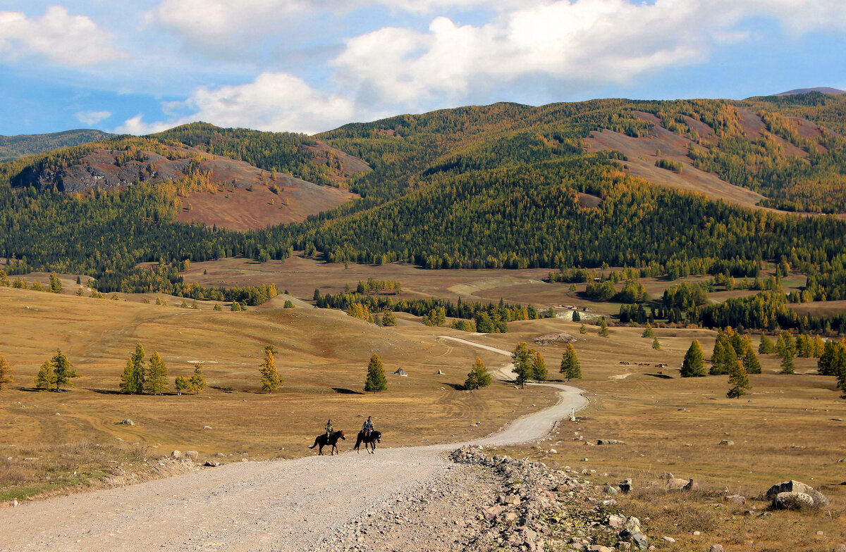 Старая дорога (на перевал Кату-Ярык) - елена беликова