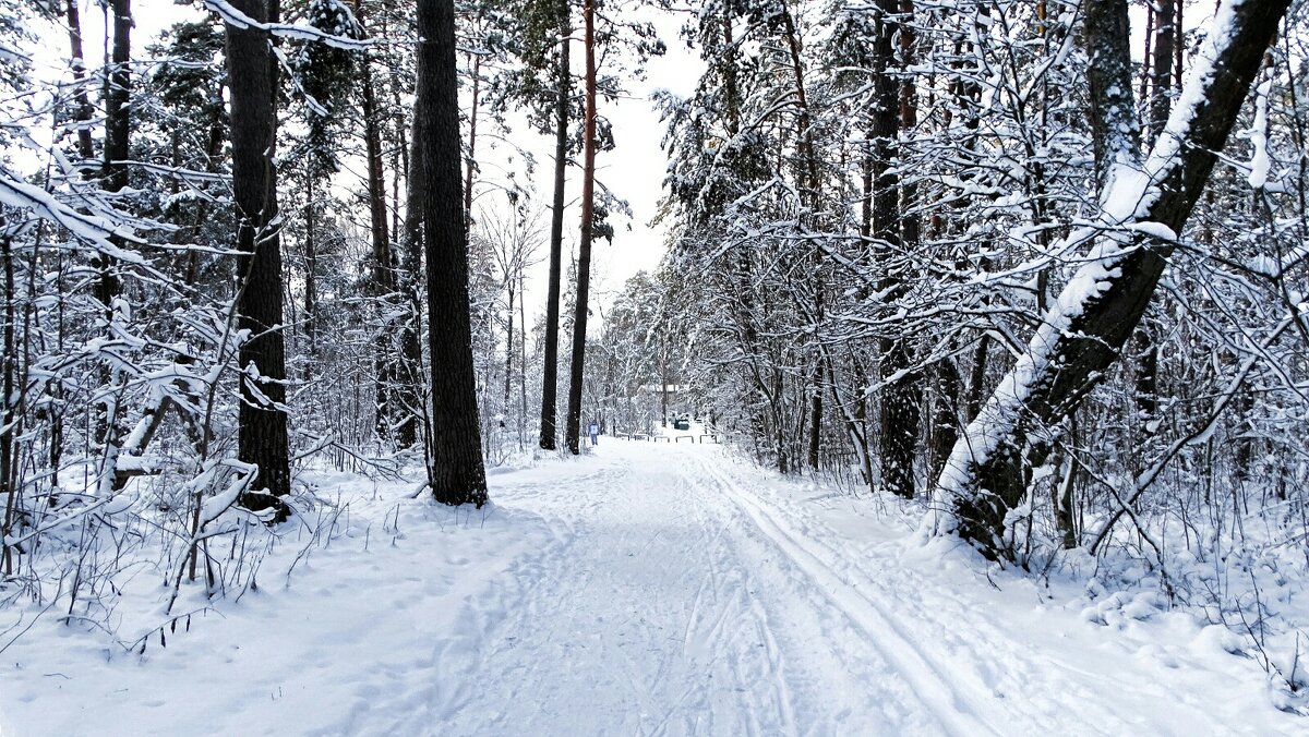 Зимний пейзаж - Милешкин Владимир Алексеевич 