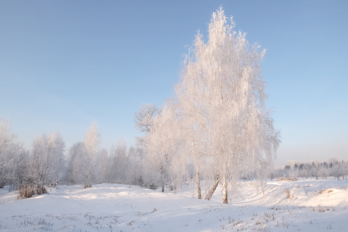 Нежность рассвета - Марина Фомина. Нежность рассвета - Марина Фомина.