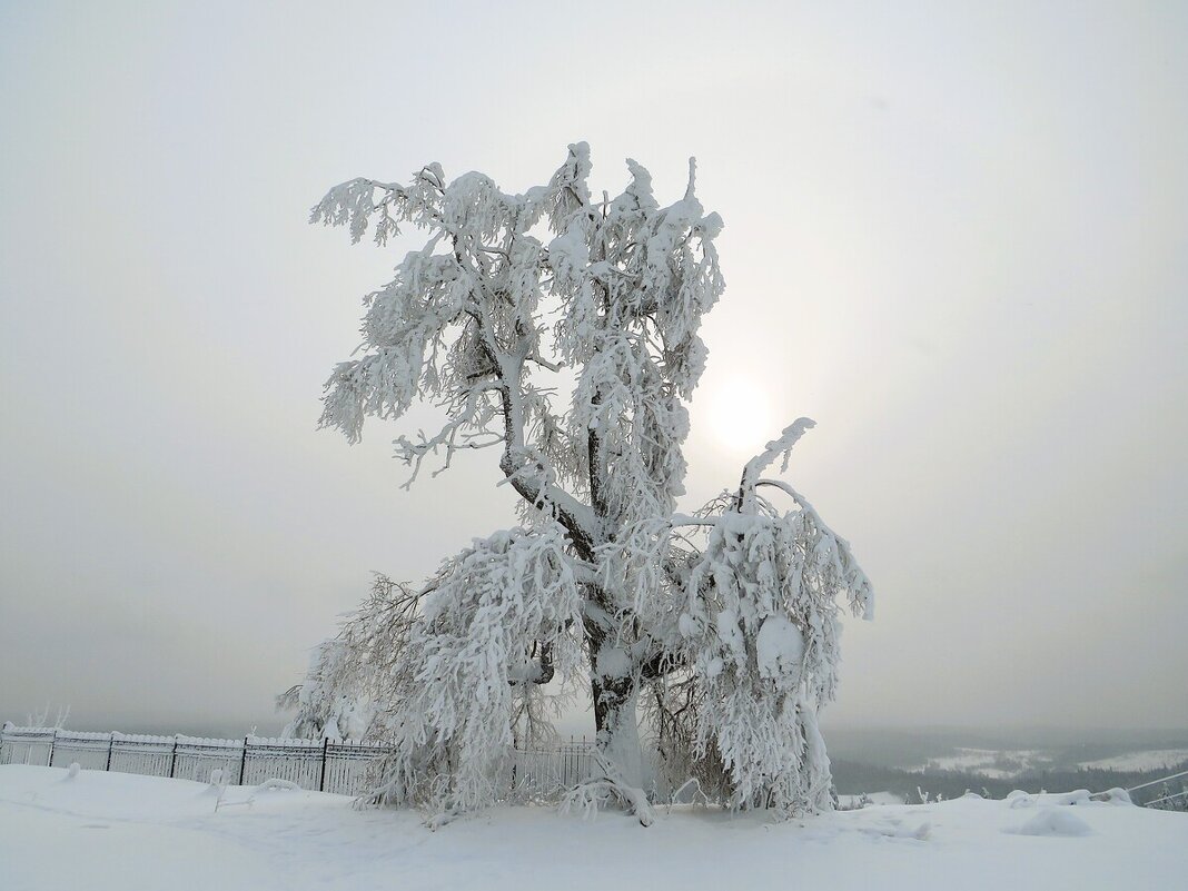 Белогорье - Лариса С.