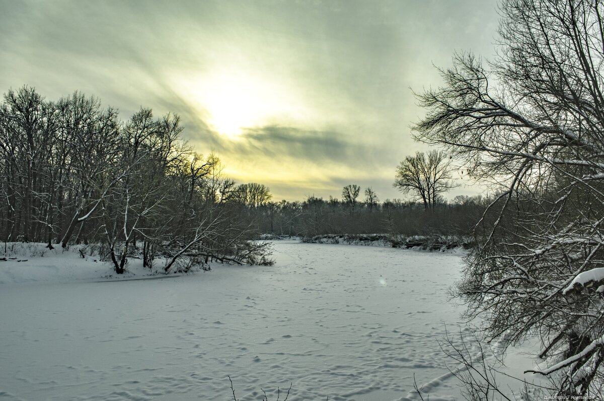 Зимняя прогулка - Дмитрий Кутепов