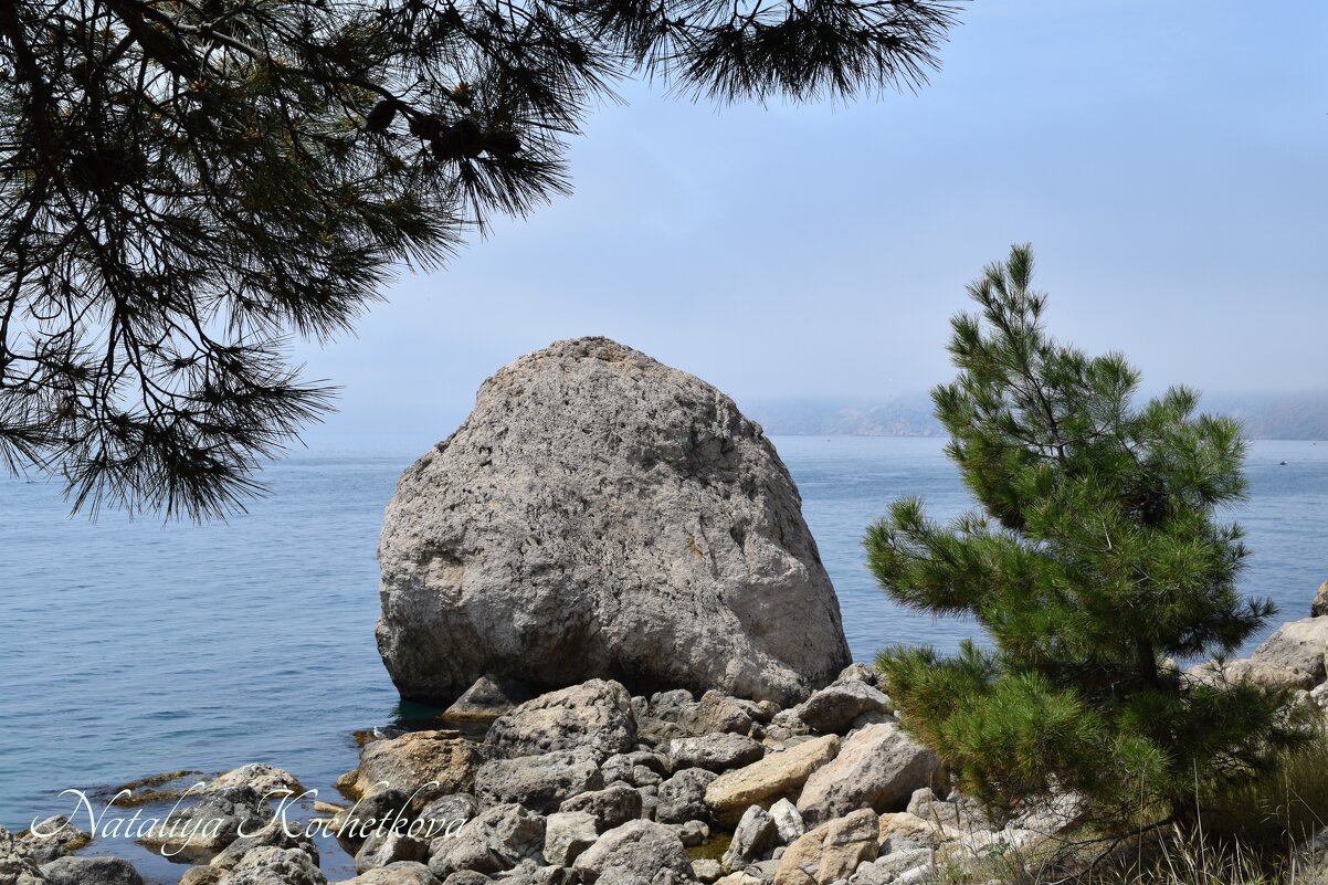 Природа Крыма - Amazing Cosmea