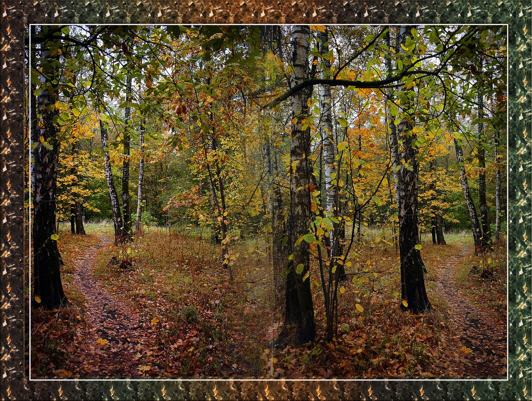 В лесопарке осенью - Владимир Кроливец