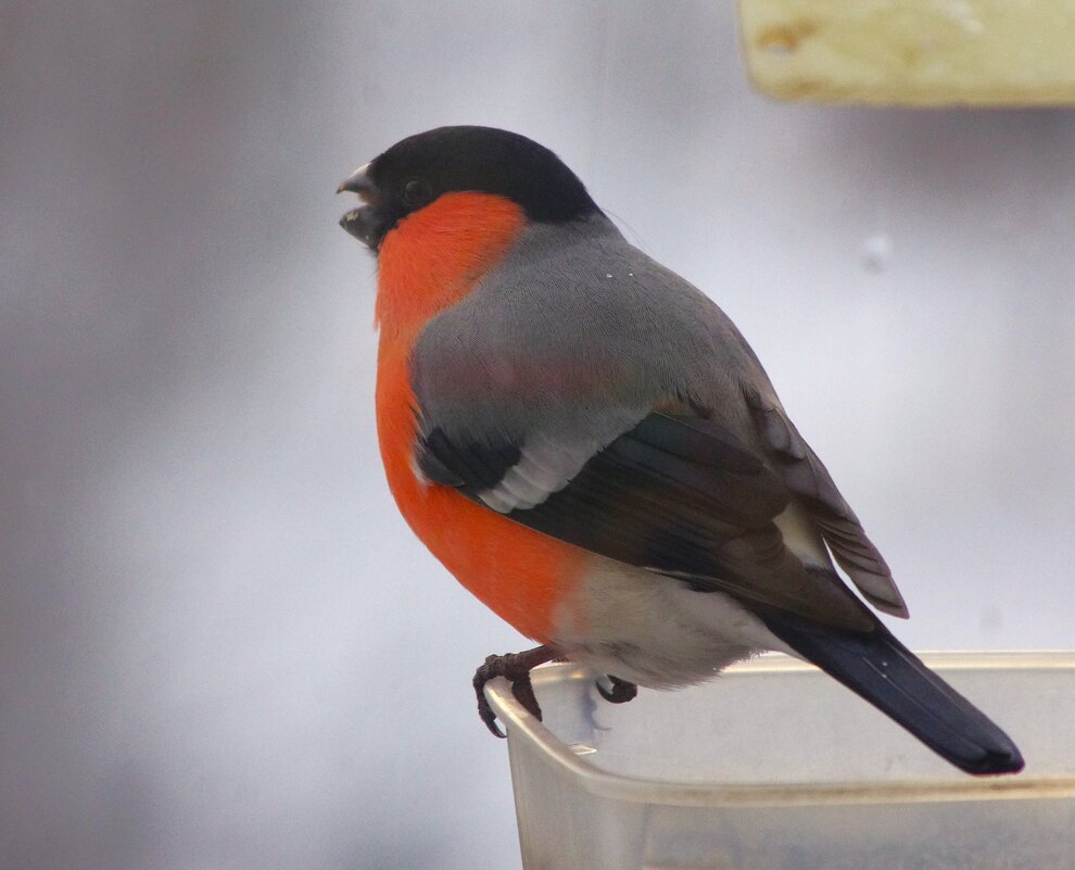 Сегодня день пасмурный... - Юрий Куликов