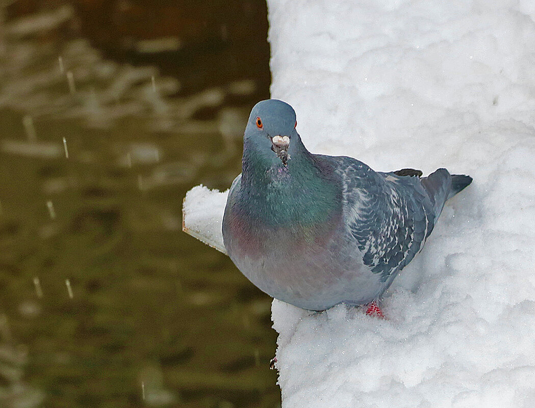 Ой, где это я?.. - Светлана 