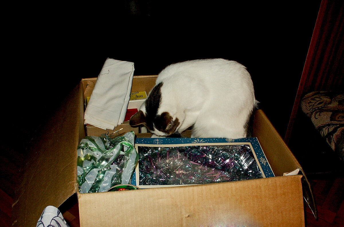 "Где тут гирлянда?" (Триптих, часть2) - MILAV V