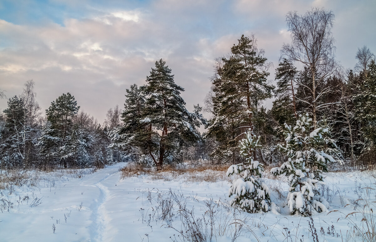 Первые дни нового года 2 - Андрей Дворников