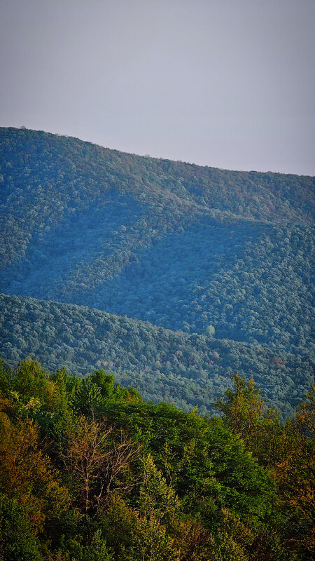 Горный рельеф с высоты горы Ширии в Румынии - polydikaya _svinka