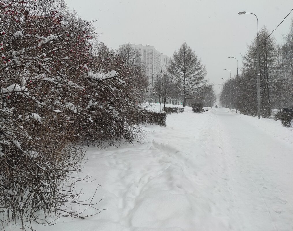 Снежный день - Игорь Ч. Снежный день - Игорь Ч.