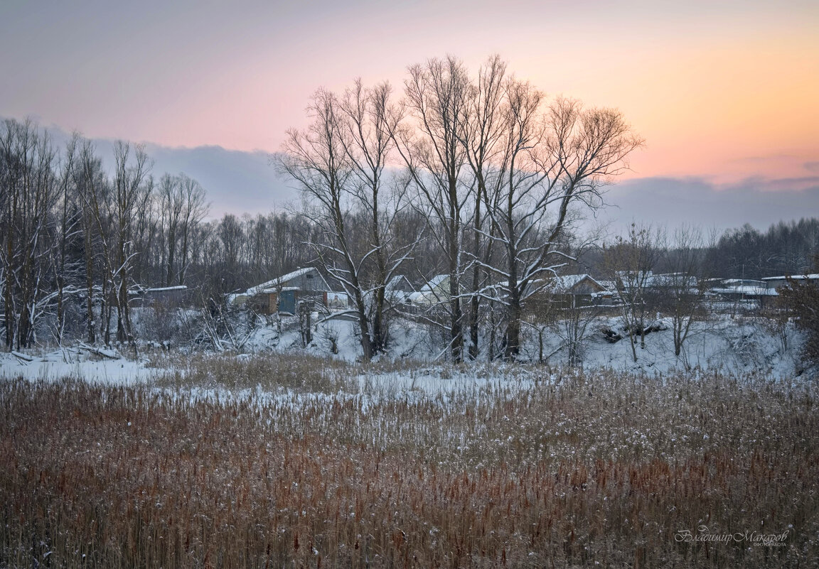 "Камыши в ледяной заводи. На исходе короткого дня"© - Владимир Макаров