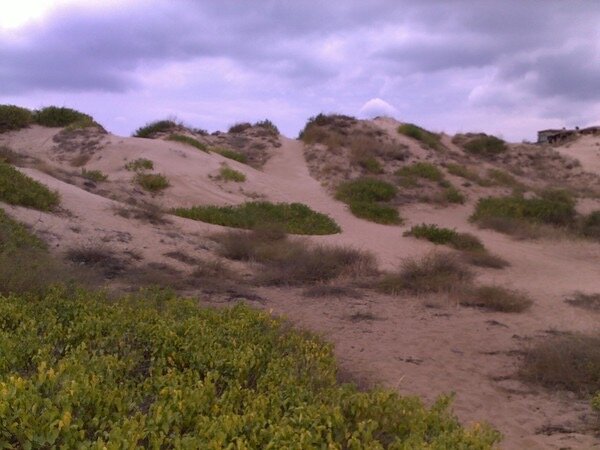 Дюны - Натали 