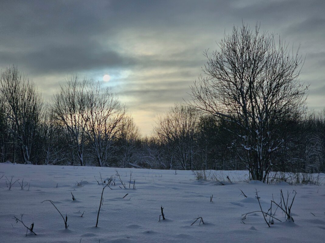Морозный день - Мария Яковлева
