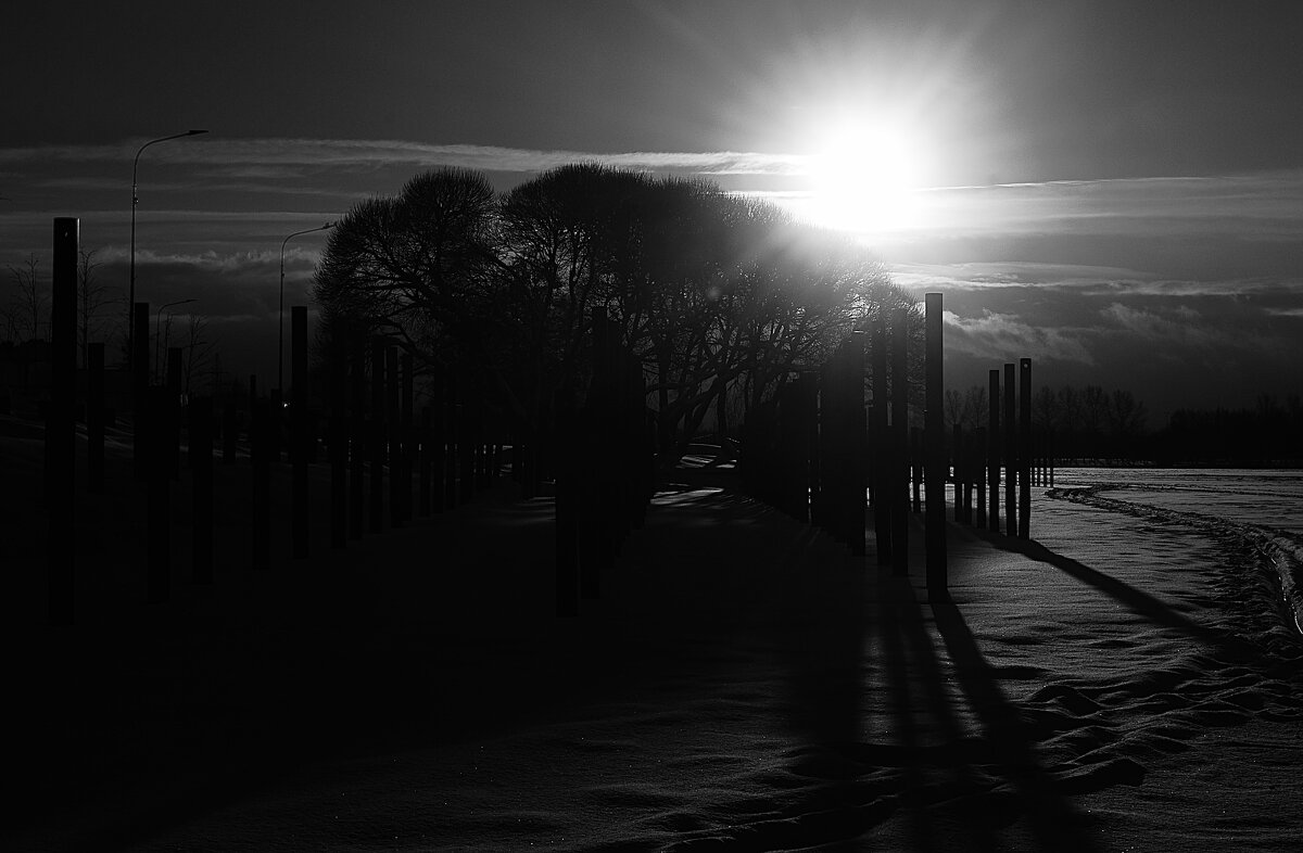 Низкое январское солнце. - Василий Палий Низкое январское солнце. - Василий Палий