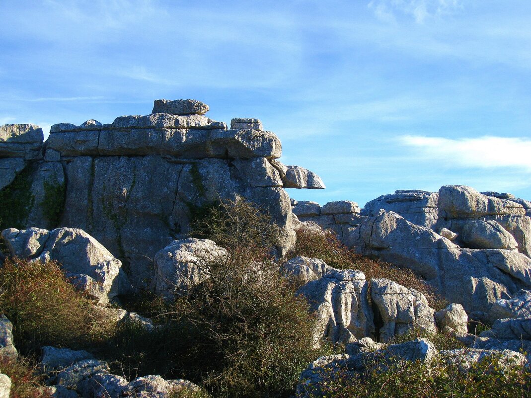 Носатенький, не знаю кто))) - unix (Илья Утропов) Носатенький, не знаю кто))) - unix (Илья Утропов)