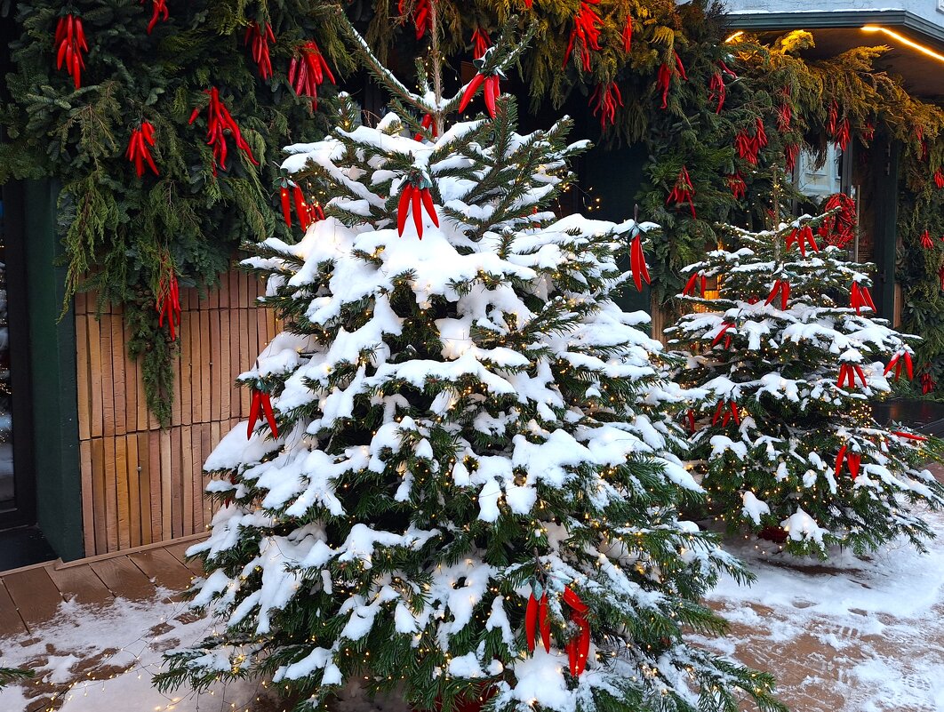 Острая елочка - Наталья 