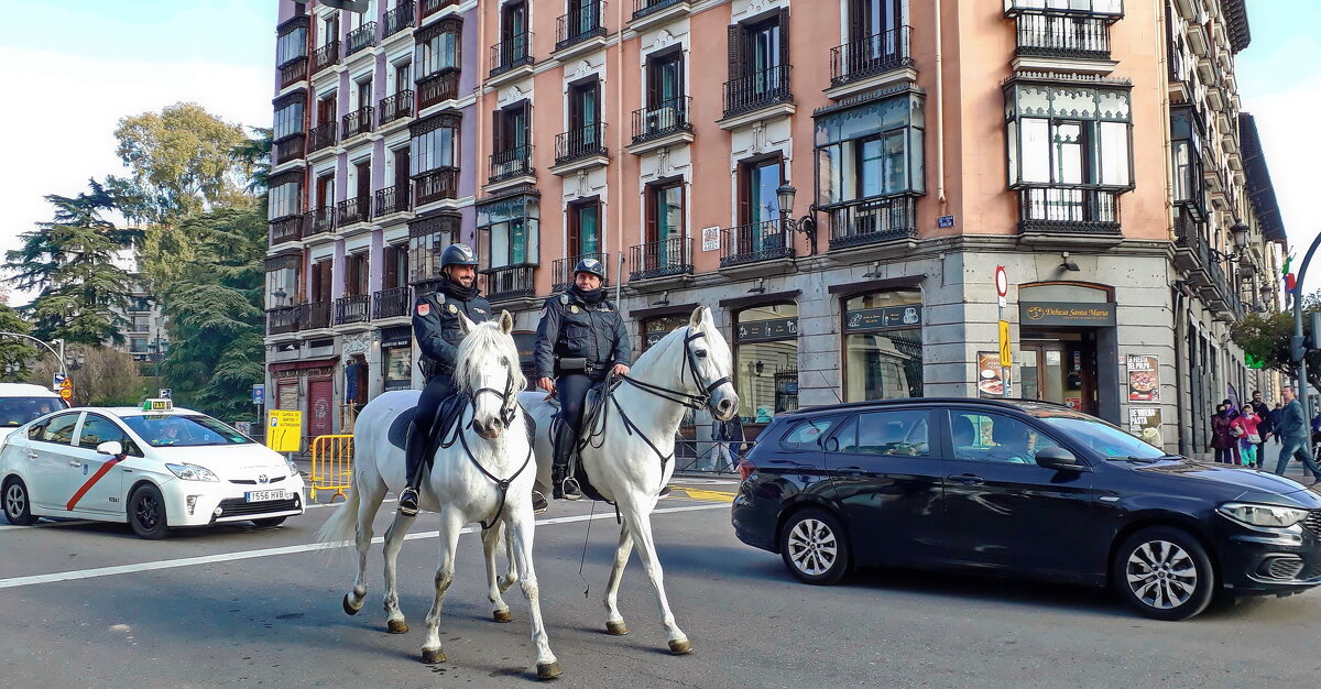 Кабальерос - Андрей K.