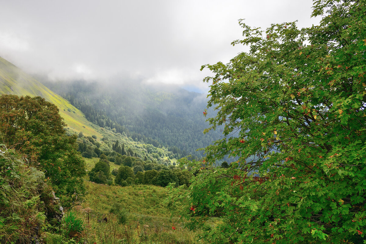 ** - Александр Хаецкий