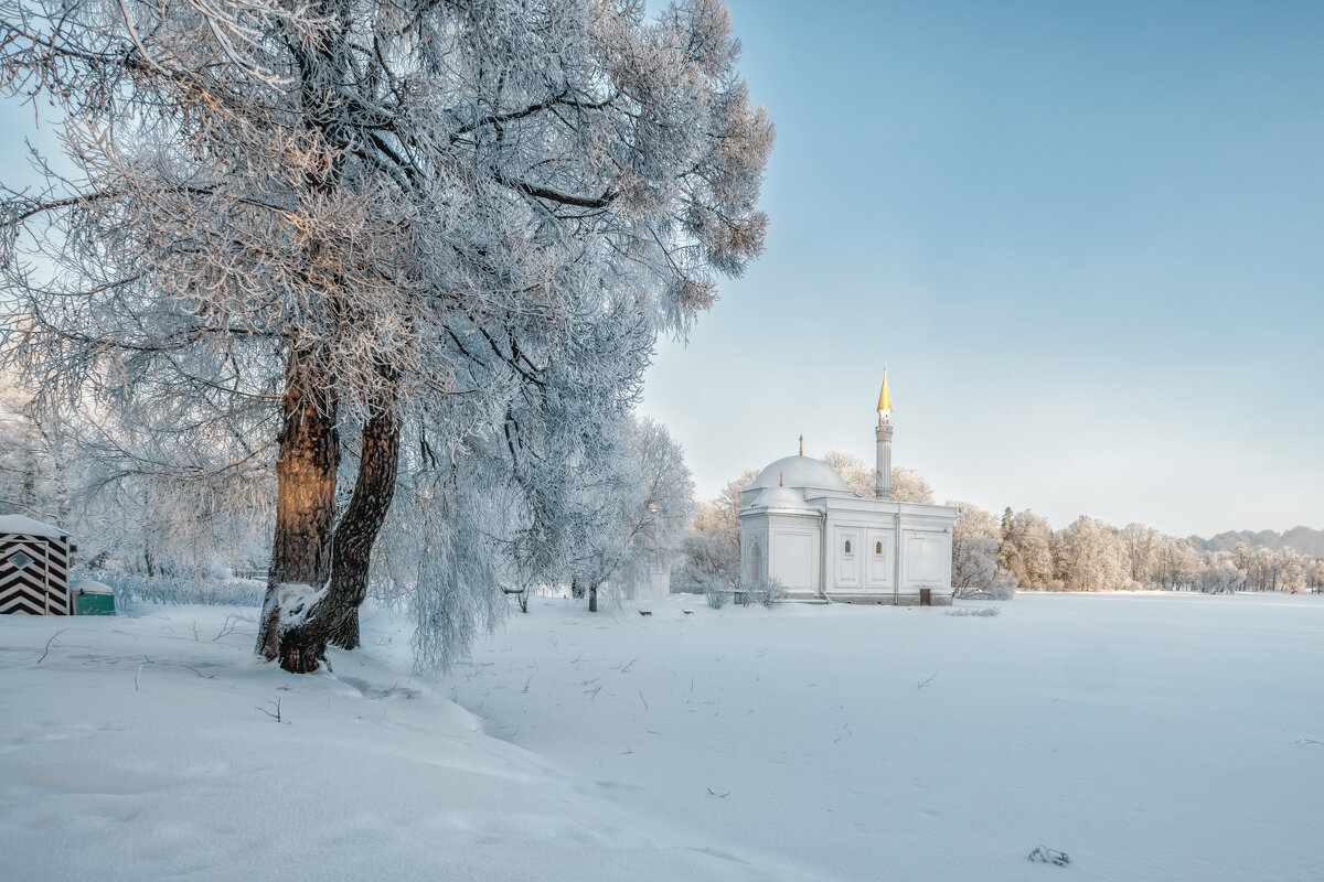 Про Питер - Владимир Колесников