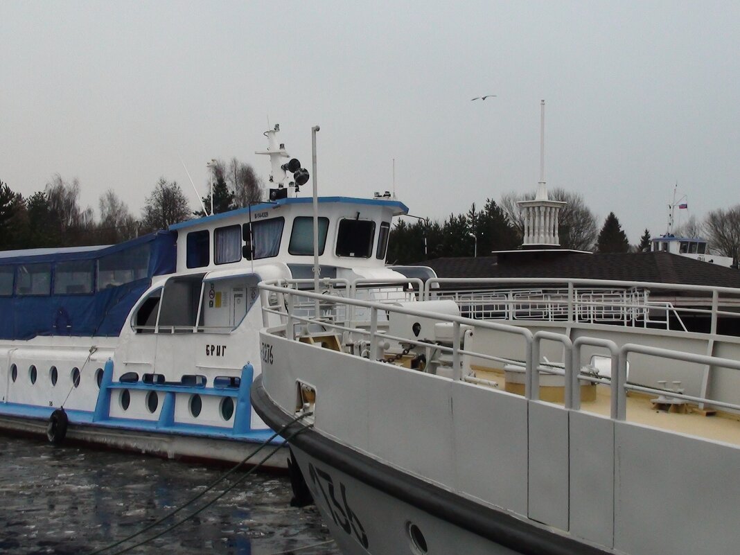 теплоход Бриг - fogmeadowww m