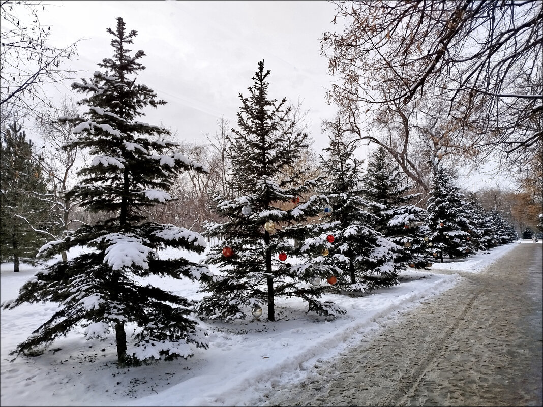 Нарядные ёлочки! - Надежда Нарядные ёлочки! - Надежда